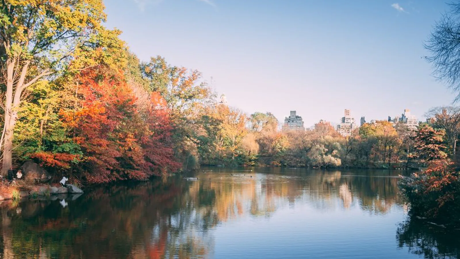 NYC Fall and Winter 2026 Guide: Events, Central Park Foliage, Photo Spots, and Seasonal Broadway