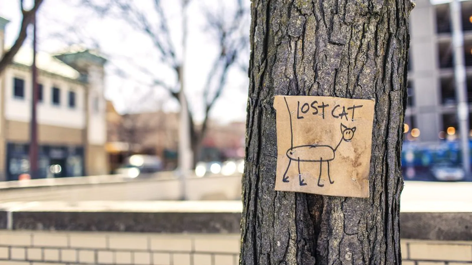 What to Do if You Lose Something in NYC, or Find Someone Else’s Property